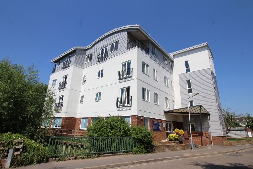 Main Image